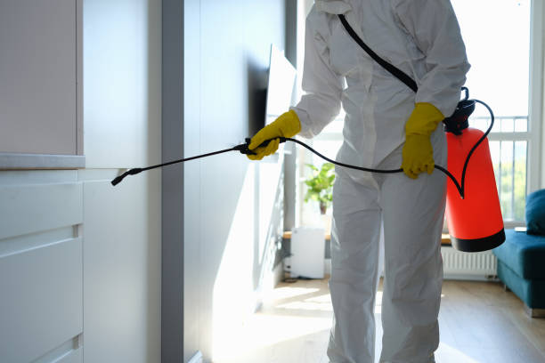 Best Office Mold Removal Services  in Forney, TX