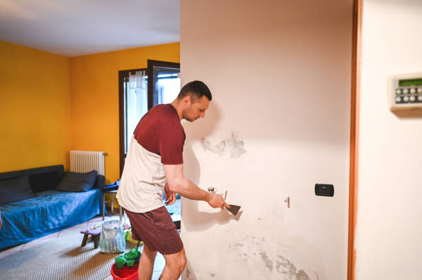 Best Professional Mold Removal  in Forney, TX